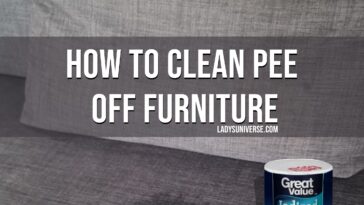 How to Clean Pee off Furniture copy