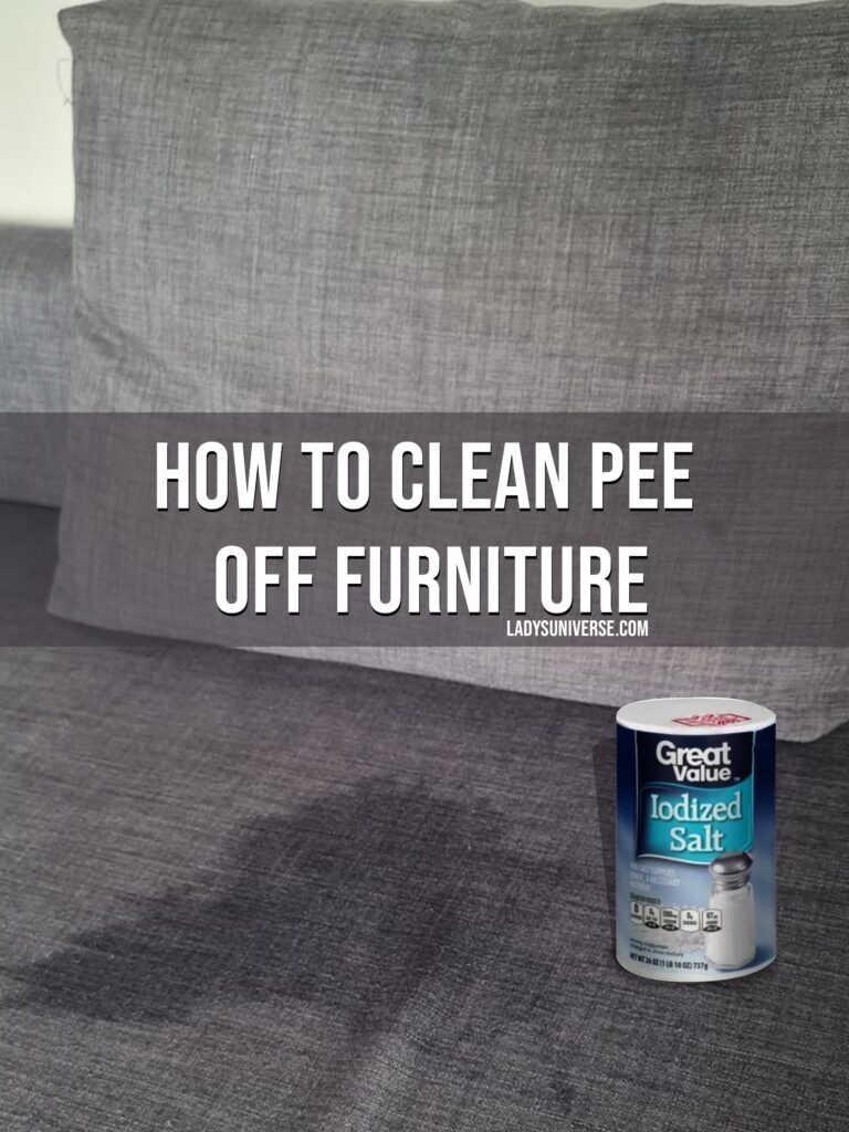 How to clean pee stains from carpets and furniture?