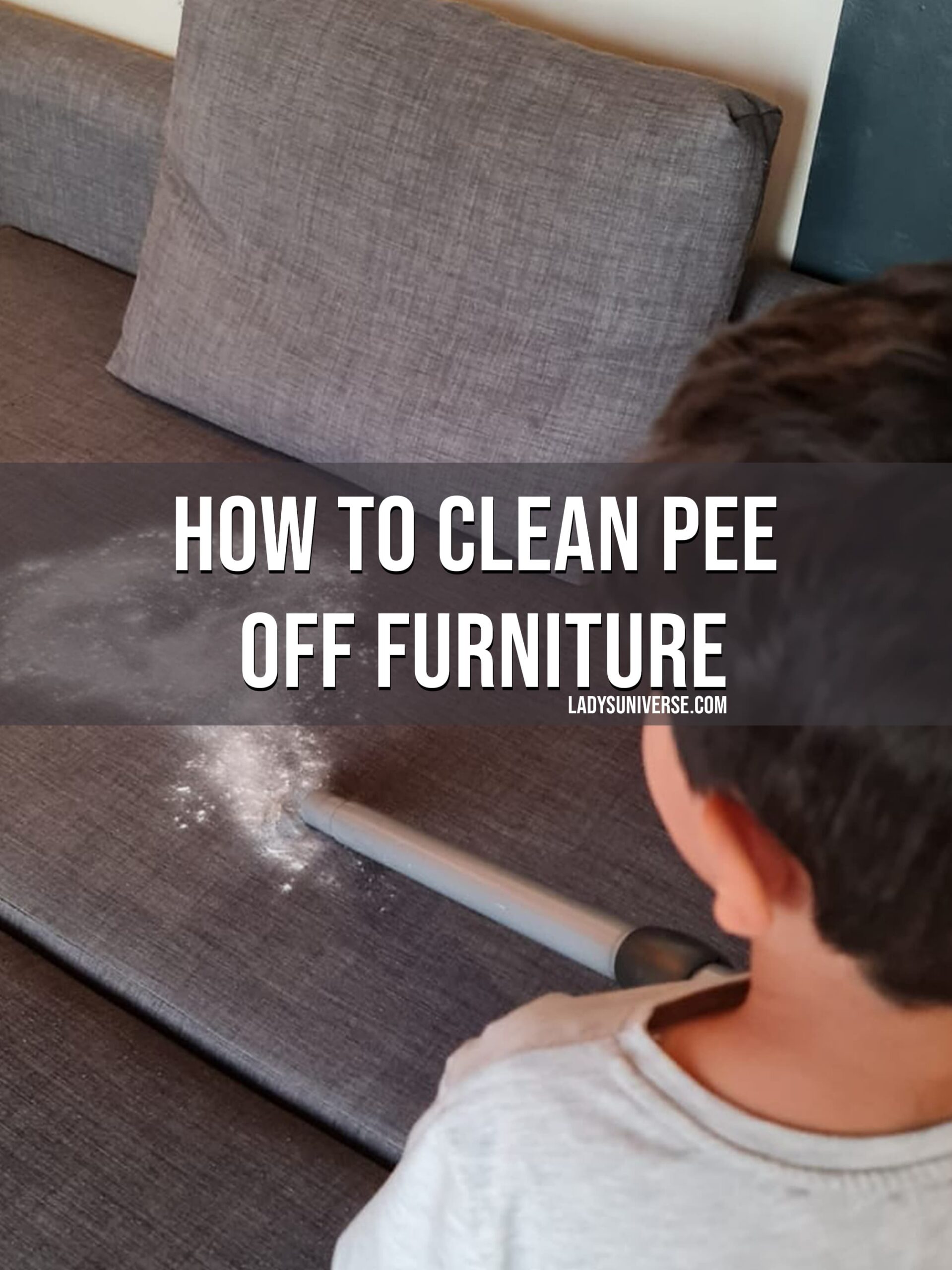 Remove the salt from the furniture using a vacuum