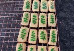 Shortbread Cookies