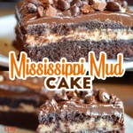 Mississippi Mud Cake