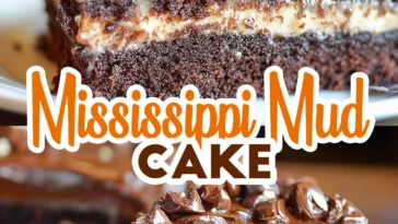 Mississippi Mud Cake