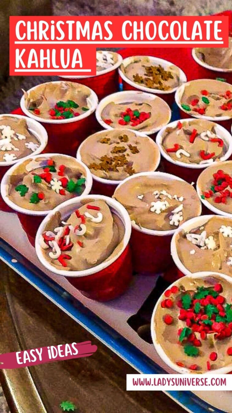 Christmas Chocolate Kahlua & Bailey’s Pudding Shots!