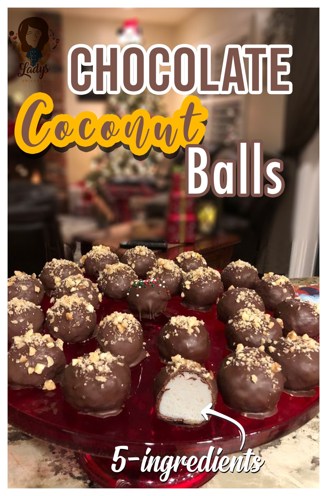 chocolate coconut balls, no bake chocolate coconut balls, chocolate coconut balls recipe, 5 ingredient chocolate coconut balls, chocolate coconut balls recipes