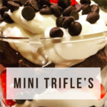 MINI TRIFLE’S