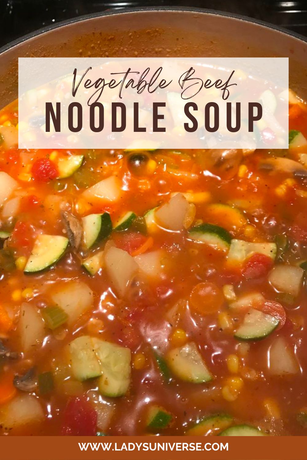 Vegetable Beef Noodle Soup - easy, hearty and comforting soup recipe!