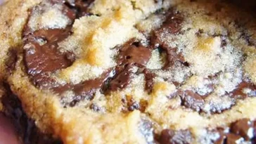 The Best Soft Chocolate Chip Cookies