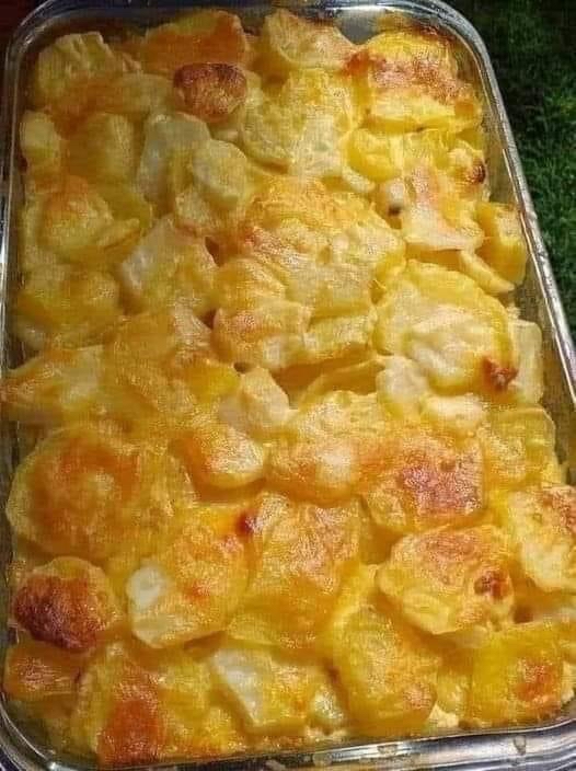 Scalloped potatoes