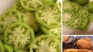 Fried Green Tomatoes