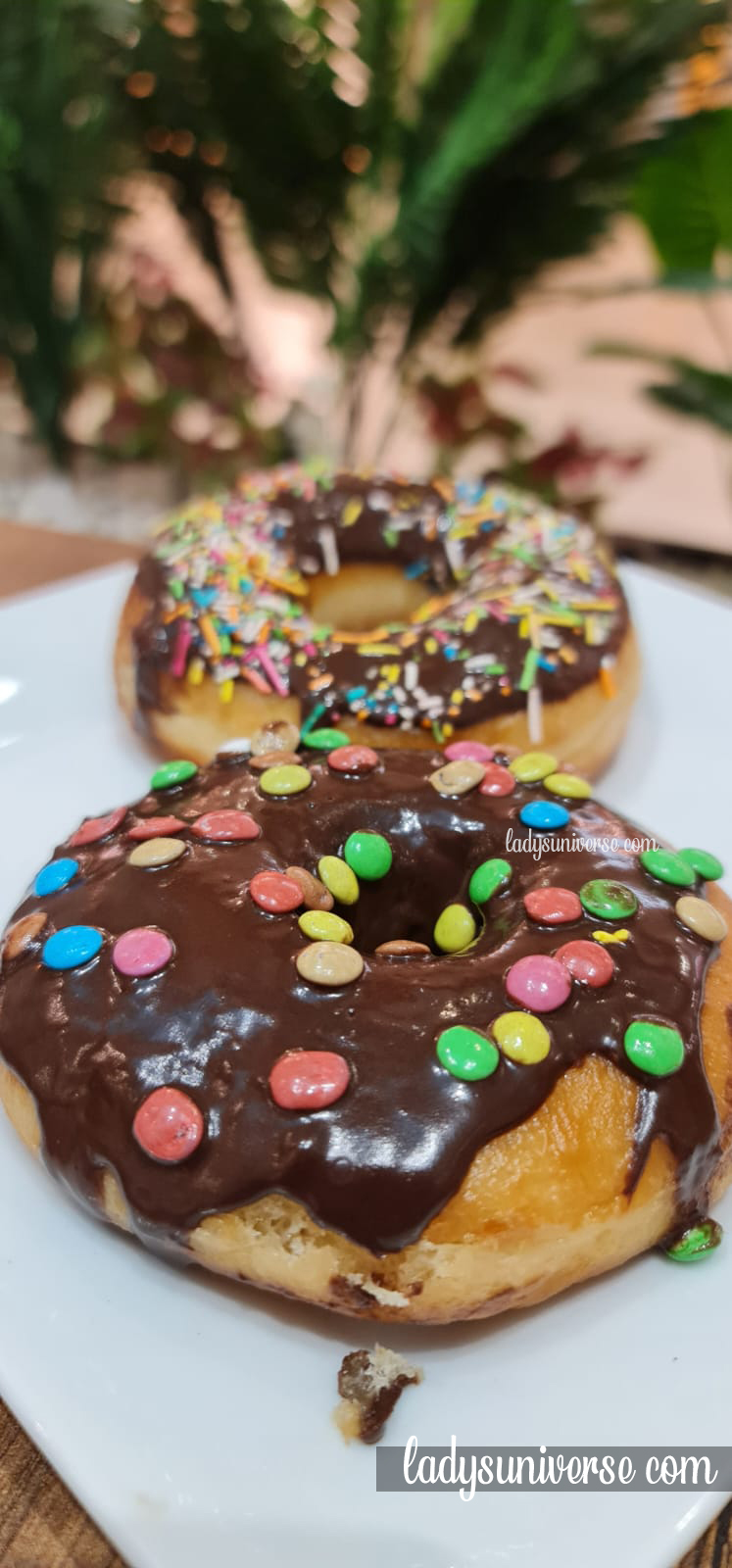 Doughnut S’mores