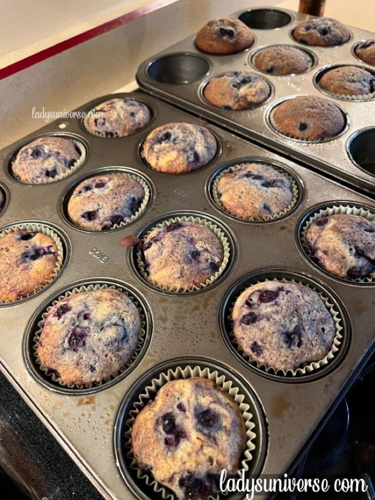 Blueberry Biscuits