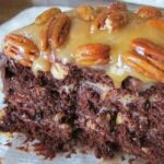 Turtles Cake, chocolate cake, Turtles Cake recipe, german chocolate cake, german chocolate cake recipe, best chocolate cake recipe,