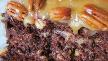 Turtles Cake, chocolate cake, Turtles Cake recipe, german chocolate cake, german chocolate cake recipe, best chocolate cake recipe,