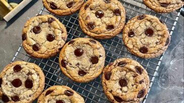 Chocolate Chip Cookie Bars, chocolate chip cookie bars recipe, chocolate chip cookie bars 9x13 pan, chocolate, cookie, cookies