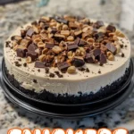 Snickers Cheesecake