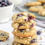 Blueberry Cookies