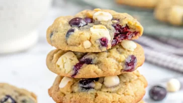 Blueberry Cookies