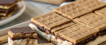 S'mores ice cream sandwich with homemade graham crackers