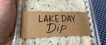 Lake Day Dip