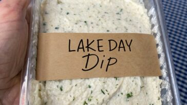 Lake Day Dip