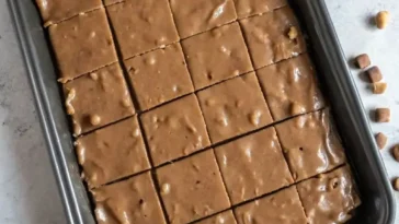 Broken pieces of Oklahoma Nut Candy on parchment paper, caramel-brown and crumbly with visible pecan chunks, photographed from above in warm natural light on a wood surface.