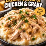 Creamy Crockpot Chicken & Gravy