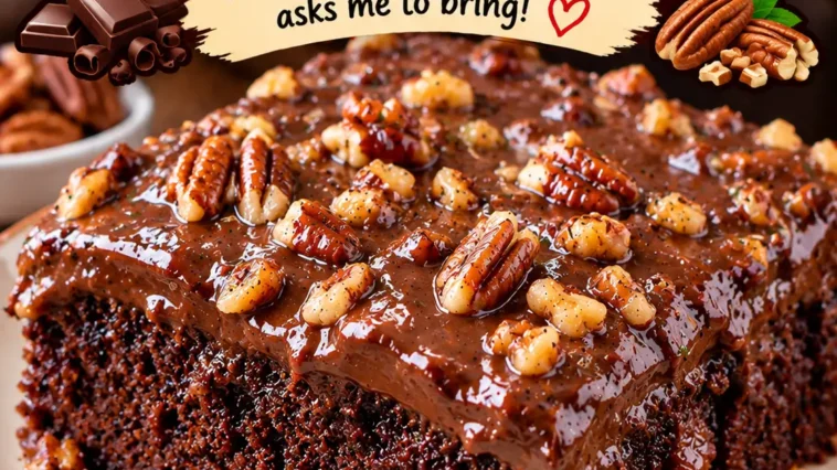 Texas Chocolate Cake Delight