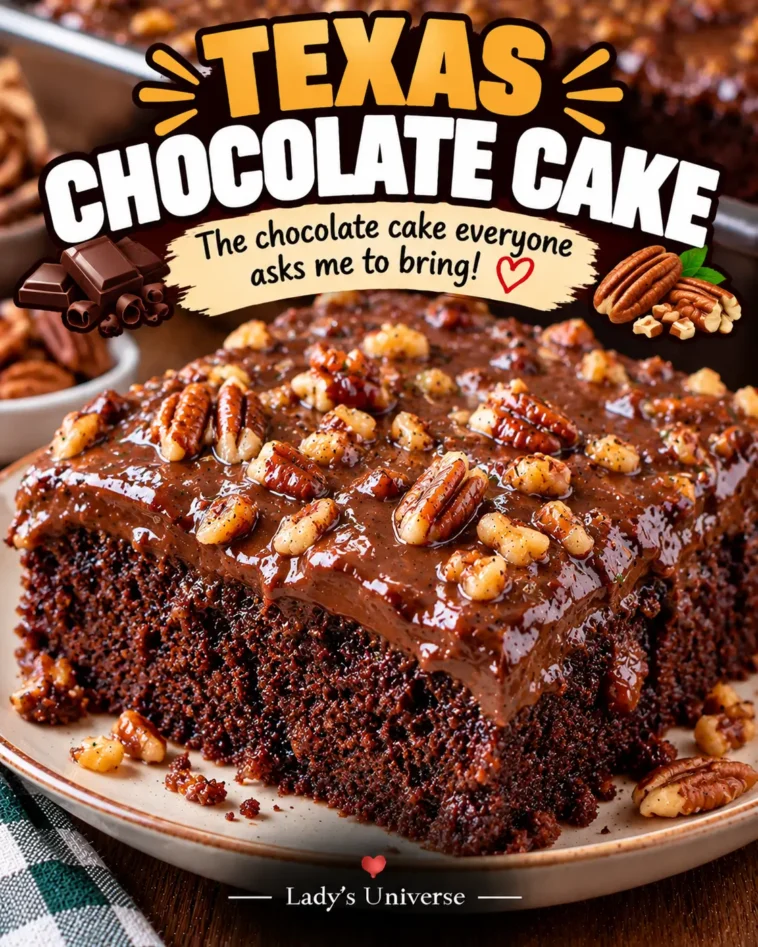 Texas Chocolate Cake Delight